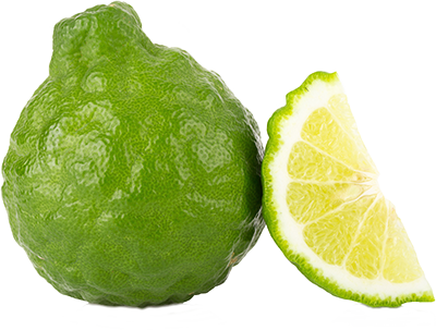 bergamotto (Citrus x bergamia)