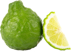 bergamotto (Citrus x bergamia)