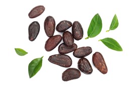 fave di cacao (Theobroma cacao)