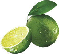 lime (Citrus aurantifolia)