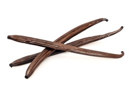 vaniglia (Vanilla planifolia)
