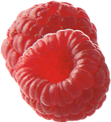 lampone (Rubus idaeus)