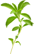 stevia (Stevia rebaudiana)